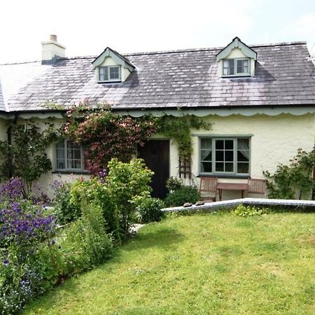 Parc Y Brenin Villa Dryslwyn Екстериор снимка