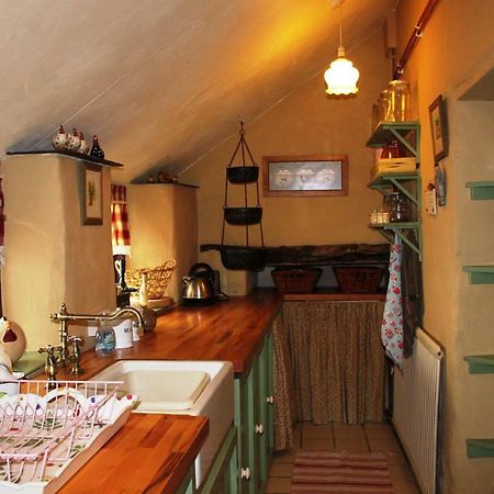 Parc Y Brenin Villa Dryslwyn Екстериор снимка