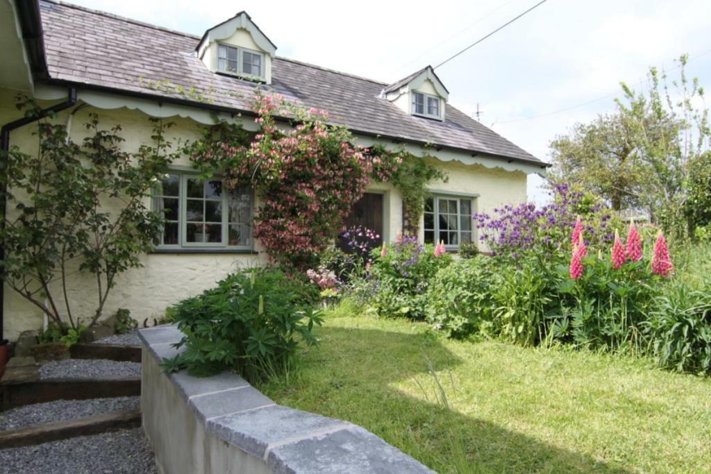 Parc Y Brenin Villa Dryslwyn Екстериор снимка