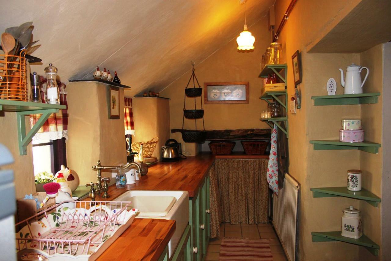 Parc Y Brenin Villa Dryslwyn Екстериор снимка